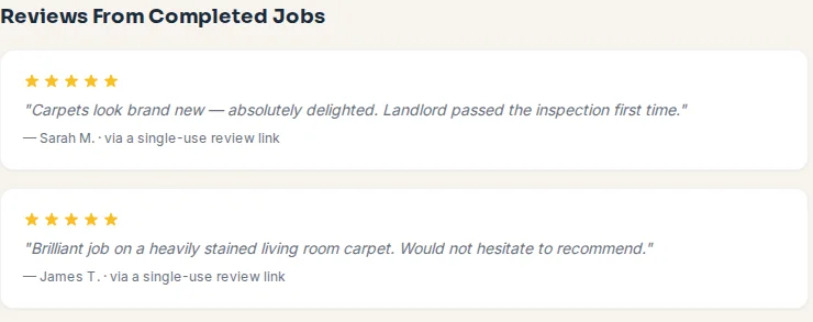 Reviews section of a Proofolio portfolio page for a made-up carpet-cleaning business, showing two five-star example reviews with the customer's first name and last initial